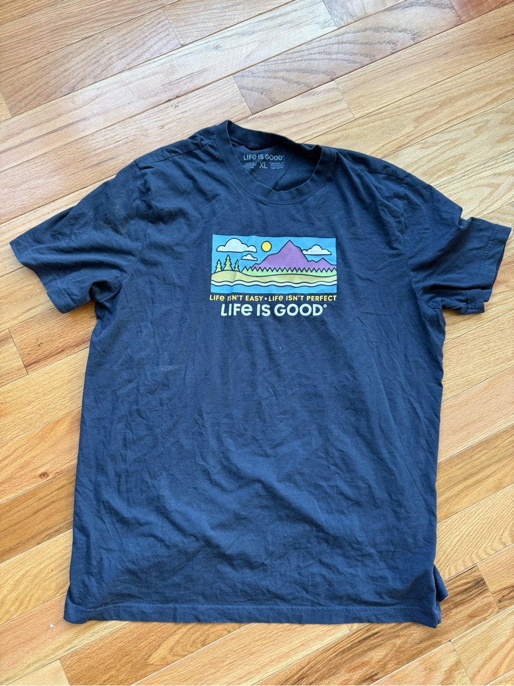 Life Is Good Black Graphic Tee with Colorful Mountain Panel